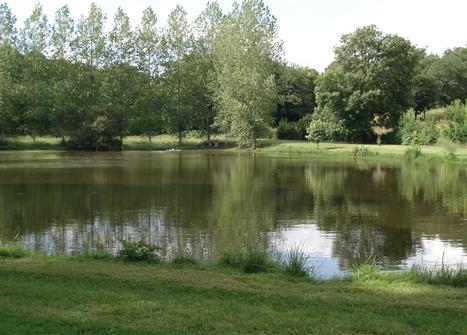 entretien de jardins en ille et Vilaine, Rennes et alentours