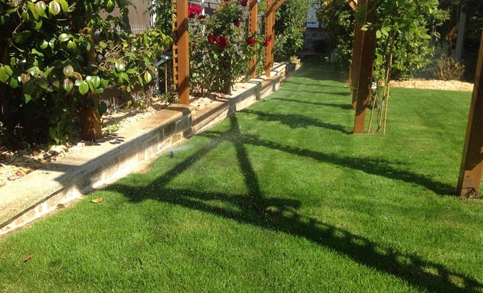 Gazon de placage, plantation, pergola et arrosage intégré Etables Sur Mer 22